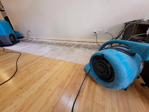 Professional Basement Flood Cleanup technician working in Mountain Rest, SC